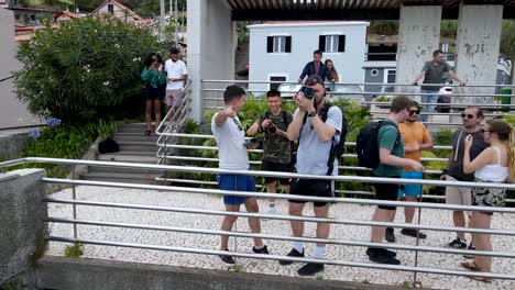 Imágenes-Aéreas-De-Drones-De-Creadores-En-El-Balcón,-Tomando-Fotos-Y-Videos-De-La-Cordillera-En-Funchal,-Isla-De-Madeira,-Portugal-Durante-El-Día