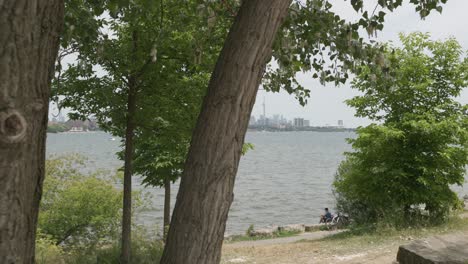 Mirando-La-Torre-Toronto-Cn-Desde-Detrás-De-Los-árboles---Cámara-Lenta-4k