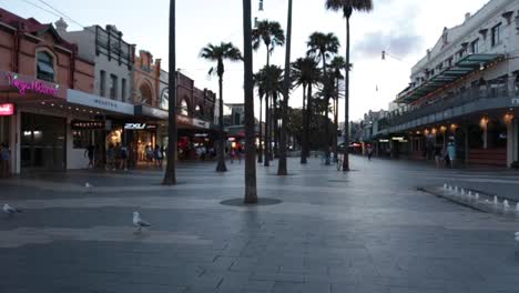 Varonil-Nsw-Tarde,-El-Corso,-Sydney