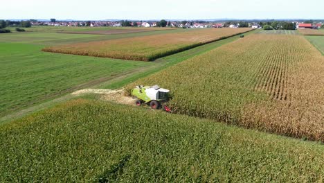 4K-Aerial-slow-motion-shot-of-corn-being-harvested-by-big-combine-harvester-at-noon-on-agricultural-fields-in-Bavaria,-Germany