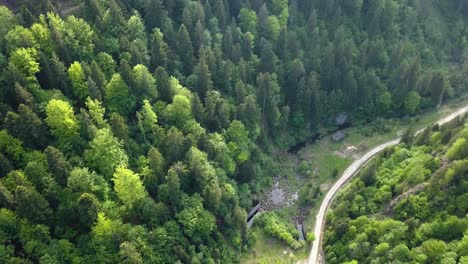 Aerial-Panning-shot-of-Woodland-where-trees-have-been-cut-in-valley