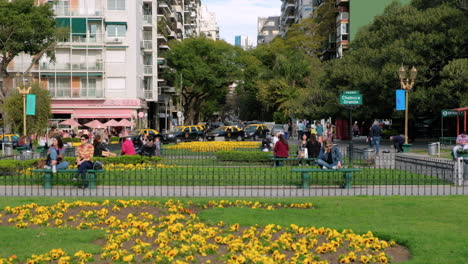 Yellow-flowers-in-Recoleta-Neighborhood-square-and-street-traffic-at-daytime-tilt-down-to-high