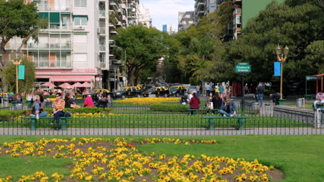 Flores-Amarillas-En-La-Plaza-Del-Barrio-Recoleta-Y-El-Tráfico-De-La-Calle-Durante-El-Día-Se-Inclinan-Hacia-Abajo-A-Alto