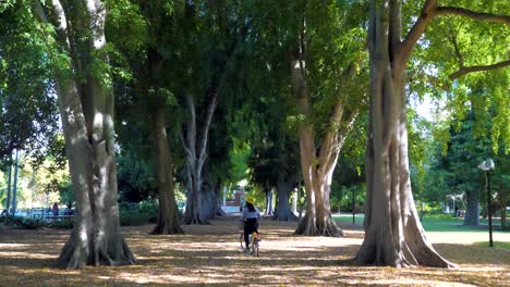 Jóvenes-Mujeres-Asiáticas-Montando-Citybike-Entre-árboles-En-Brisbane-Cbd-Botanic-Garden,-Ayuntamiento-De-Brisbane