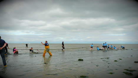 During-Whitstable's-oyster-festival,-teams-compete-in-a-'mud-tug',-a-tug-of-war-in-the-sea