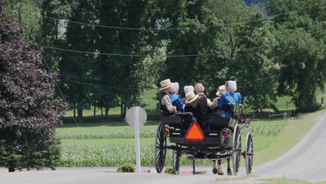 Ein-Amisches-Offenes-Pferd-Und-Ein-Buggy-Mit-Einer-Familie,-Die-Entlang-Der-Straße-Auf-Dem-Land-Reitet