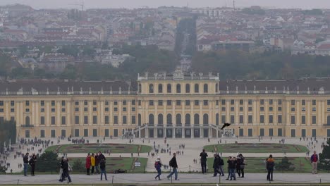 Hoch-Oben-Blick-Auf-Den-Schlosspark-Schönbrunn-Und-Das-Wiener-Panorama-Am-Grauen-Und-Nebligen-Herbsttag-Mit-Teichernte