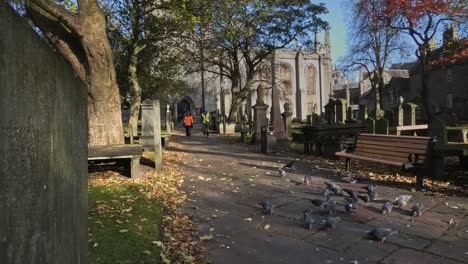 Two-workmen-in-protective-clothing-walk-through-the-The-Kirk-of-St-Nicholas-graveyard