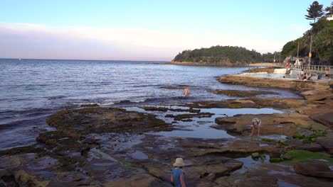 Maravilloso-Paisaje-En-Sydney,-Australia,-Con-árboles-Verdes-Y-Un-Océano-Tranquilo-Durante-La-Puesta-De-Sol---Tiro-Amplio