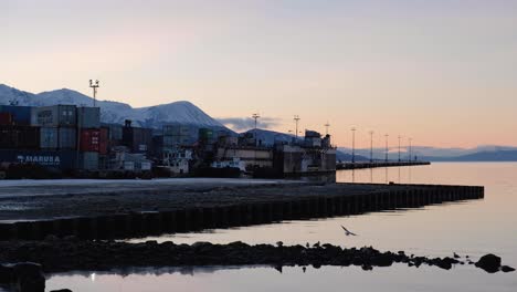 LOCKED-OFF-Peaceful-sunrise-and-native-birds-on-Ushuaia-port