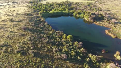 Aerial-view-of-a-scenic-pond-in-a-wetland-area,-Northern-Cape,-South-Africa