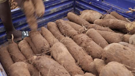 Hand-Yam-Verpackung-In-Lkw