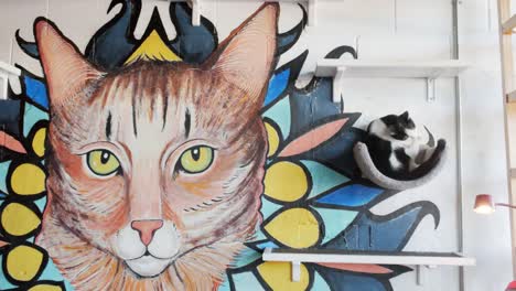 Un-Gatito-Atigrado-Blanco-Y-Negro-Se-Sienta-Encaramado-En-Un-Descanso-Montado-En-La-Pared-De-Mascotas-Junto-A-Un-Gran-Mural-Artístico-De-Gatos-En-Un-Café-De-Gatos-Que-También-Es-Un-Refugio-De-Rescate-Y-Una-Agencia-De-Adopción-De-Animales