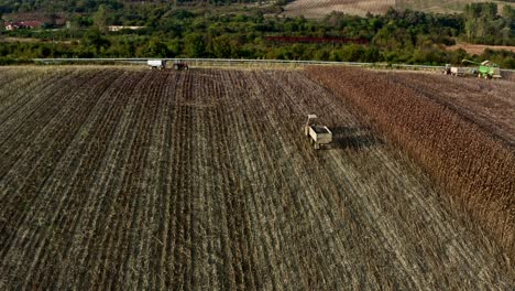 Toma-Aérea-Del-Campo-De-Girasoles-En-El-Campo-Búlgaro-Con-Maquinaria-Agrícola-Y-Vehículos-Agrícolas-Recogiendo-Las-Semillas