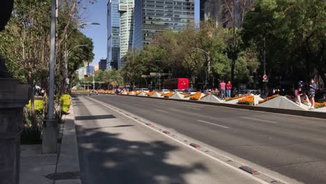 Hermosa-Decoración-De-Flores-De-Caléndula-Naranja-En-La-Mediana-Central-De-La-Avenida-Paseo-De-La-Reforma-En-Un-Día-Soleado-Con-Cielo-Azul,-Centro-De-La-Ciudad-De-México