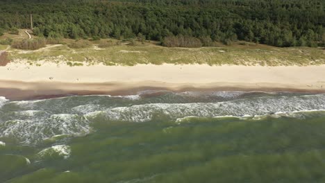 AERIAL:-Pan-Shot-of-Sandy-Beach-with-Green-Pine-Forest-in-Background-near-Baltic-Sea