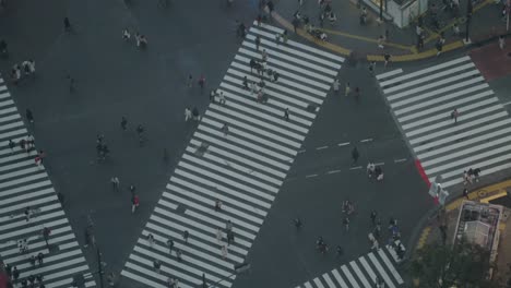 Hochwinkel-Nahaufnahme-Von-Menschen-An-Der-Shibuya-Kreuzung-Während-Der-Pandemie