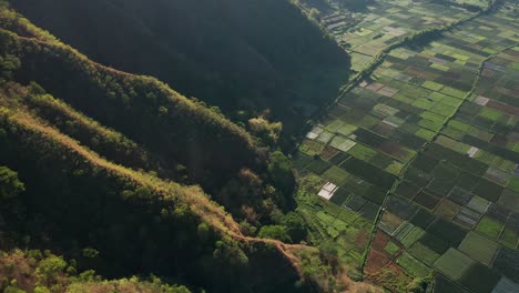 Luftaufnahme-über-Der-Berühmten-Indonesischen-Landschaft-Mit-Berghängen-Und-Ländlichen-Reisfeldern