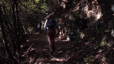 Male-hiker-walking-through-beautiful-shadowy-scene-with-falling-leaves---pan-shot