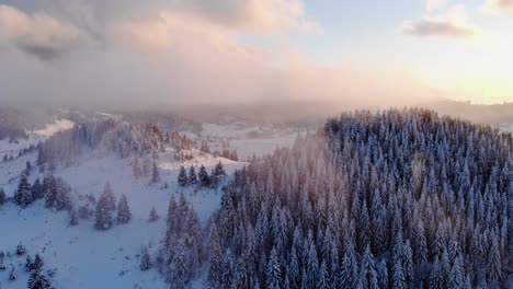 Nadelwald-Auf-Bergiger-Landschaft,-Die-Im-Winter-Bei-Sonnenuntergang-Dicht-Mit-Neuschnee-Bedeckt-Ist