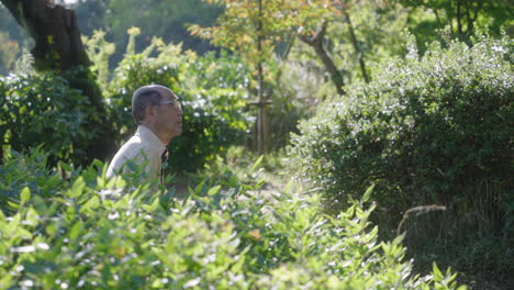 Ein-älterer-Mann-Mit-Brille,-Der-Sitzt,-Während-Er-über-Einen-Sommergartenpark-In-Tokio,-Japan,-Nachdenkt