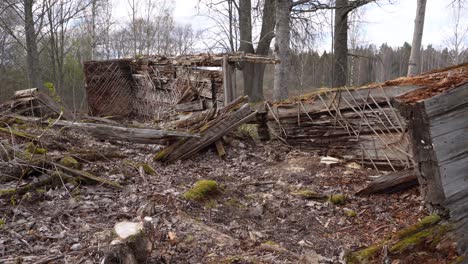 Wooden-shelter-collapsed-in-ruins-in-bare-forest,-medium-shot-dolly-in