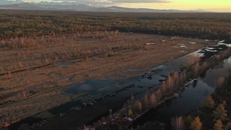 Bogland-Area-Surrounded-By-Forest-During-Sundown.--aerial