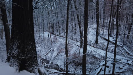 Wide-shot-looking-down-through-the-oak-forest-at-winter-hikers-walking-along-the-Glen-Stewart-Ravine