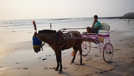 Single-Horse-cart-on-beach-during-sunset-|-Beautiful-decorated-horse-of-horse-cart-on-beach-during-sunset-standing-on-bech-with-a-horse-cart-rider-or-owner-sitting-in-back,-Mumbai,-15th-march-2021