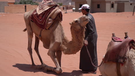 Wadi-Rum