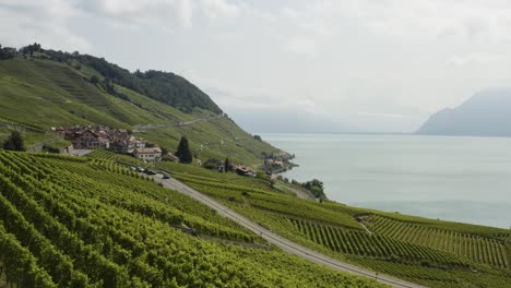 Aerial-flying-slowly-towards-Lake-Geneva-above-Vineyards,-Switzerland