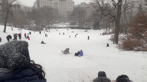 Niños-En-Trineo-Por-Una-Gran-Colina-En-Central-Park,-Ciudad-De-Nueva-York