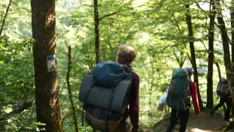 3-guys-walking-trough-a-forrest-in-Luxembourg-with-huge-packpacks