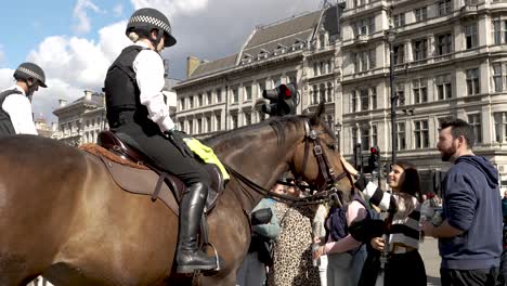 Touristen,-Die-Streicheln,-Trafen-An-Einem-Sonnigen-Tag-Polizeipferde-Auf-Dem-Parlamentsplatz