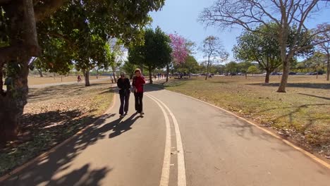 Imágenes-Deslizantes-En-Una-De-Las-Muchas-Calles-Peatonales-En-Medio-De-La-Naturaleza-Verde-En-El-Parque-De-La-Ciudad-De-Brasilia