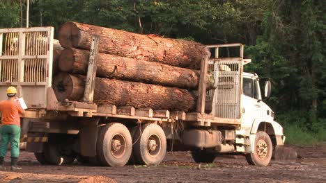 Madereros-Transportando-Una-Carga-De-Troncos-De-La-Selva-Amazónica