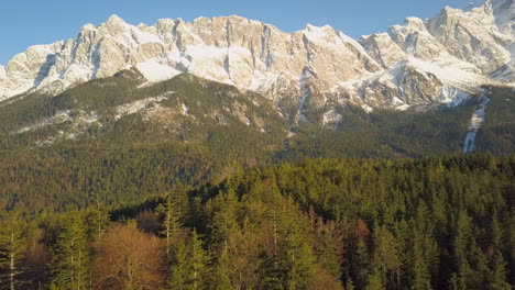 Aerial-view-rising-above-alpine-woodland-trees-to-view-of-majestic-snowy-Zugspitze-sunlit-mountains