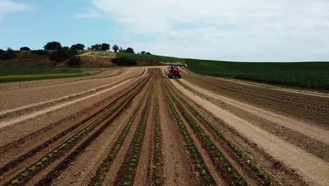 Drone-flight-over-young-lettuce-plants-with-tractor-drives-over-field