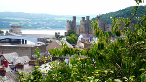 Conwy-castle-waterfront-landmark-views-above-breezy-coastal-leafy-tree-foliage