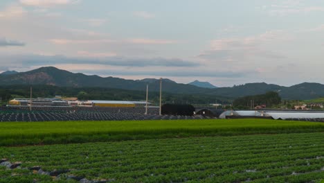 Beautiful-Geumsan-Farm-At-Sunset