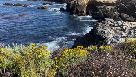 Tilt-Pedestal-Shot-of-Beautiful-Flowers-and-Crashing-Waves-Along-the-Pacific-Coastline-In-Big-Sur-California-on-a-Sunny-Day