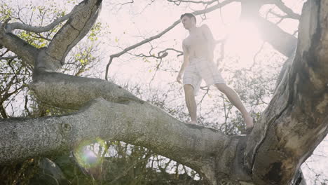Young-man-walks-across-branch-above-in-tree-with-sun-flare-behind,-slow-motion