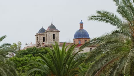 Dach-Der-Kathedrale-Und-Palmenblätter-In-Valencia,-Spanien-24fps,-4k
