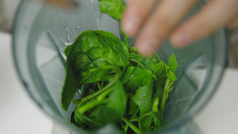 Slow-motion-close-up-of-person-throwing-fresh-spinach-into-shaker-mixer