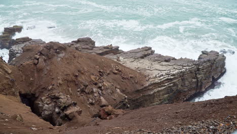 Static-shot-of-a-cliff-with-birds-flying-by-along-the-coast-of-Mirador-Miguel-Grau,-Chorrillos,-Lima,-Peru