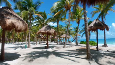 Gorgeous-tilting-down-shot-of-a-tropical-empty-resort-beach-with-white-sand,-palm-trees,-and-turquoise-water-on-the-beautiful-Playa-del-Carmen-in-Riviera-Maya,-Mexico-near-Cancun-