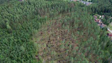 Fallen-Trees-After-Storm,-Aerial-View,-Fagersta,-Sweden