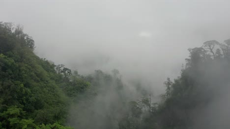 Lush-humid-tropical-rainforest-in-Costa-Rica-with-thick-mist,-aerial