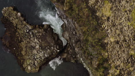 Luftbild-Aus-Der-Vogelperspektive-über-Steile-Klippen-Am-Meer-In-Westisland