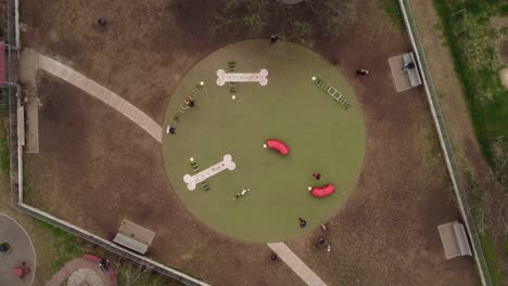 Aerial-top-down-orbit-over-outdoor-circular-dog-park,-Buenos-Aires